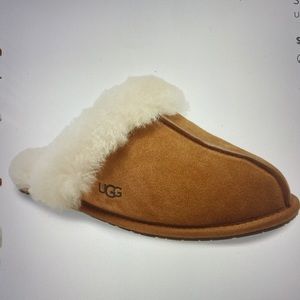 UGG Scuffette II - Chestnut